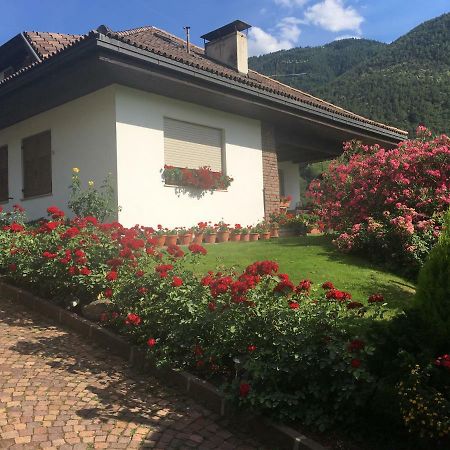 Weingut Zundlhof Villa Bolzano Exterior photo