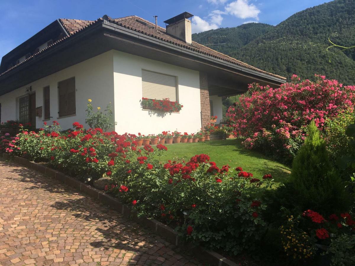 Weingut Zundlhof Villa Bolzano Exterior photo